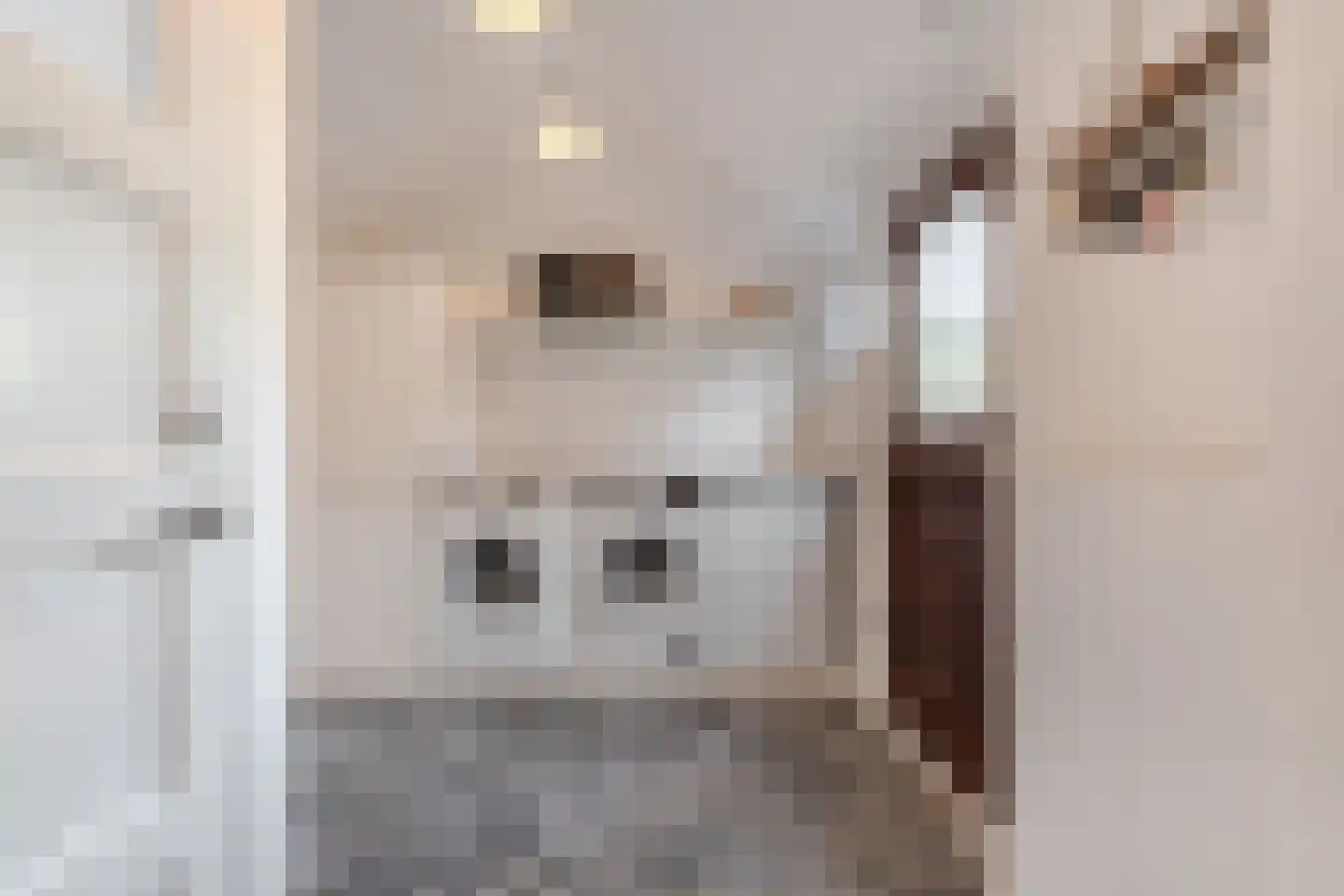 Kerkstraat 4 Joure thumbnail 25