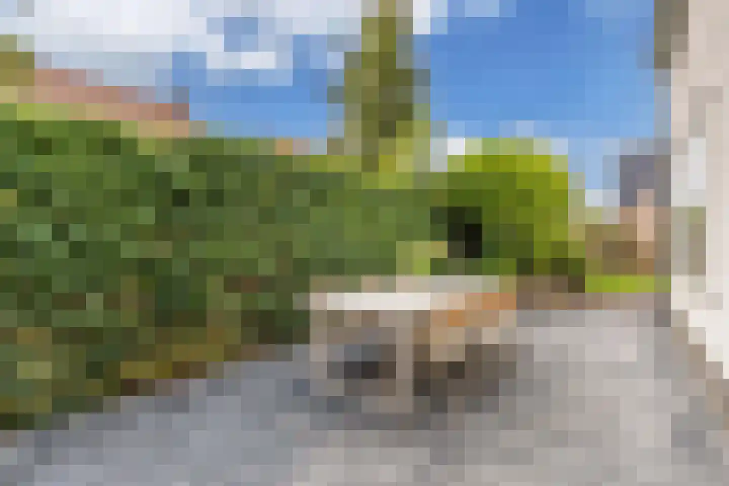 Kerkstraat 4 Joure thumbnail 43