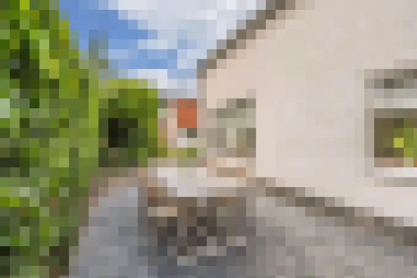 Kerkstraat 4 Joure thumbnail 44