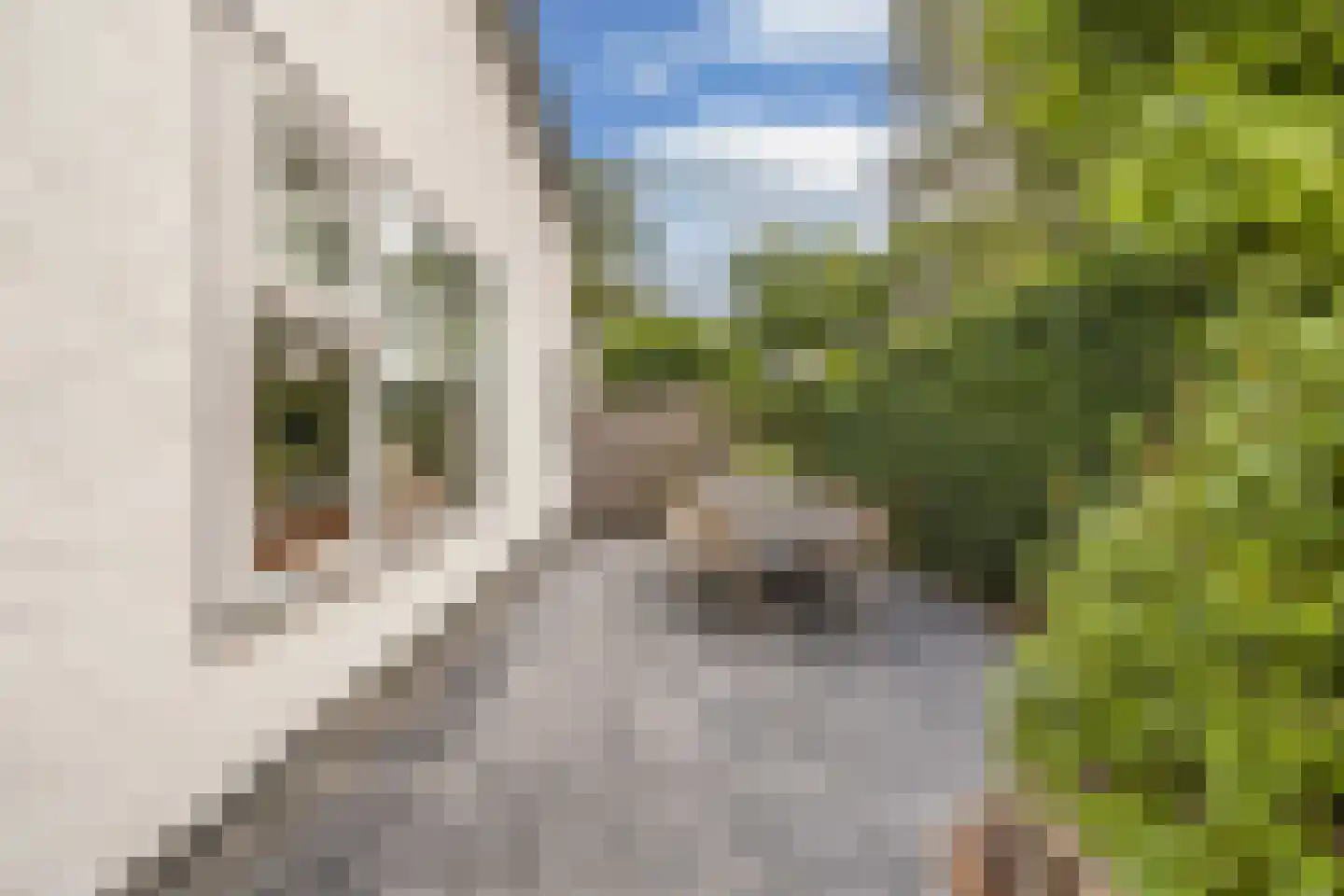 Kerkstraat 4 Joure thumbnail 46