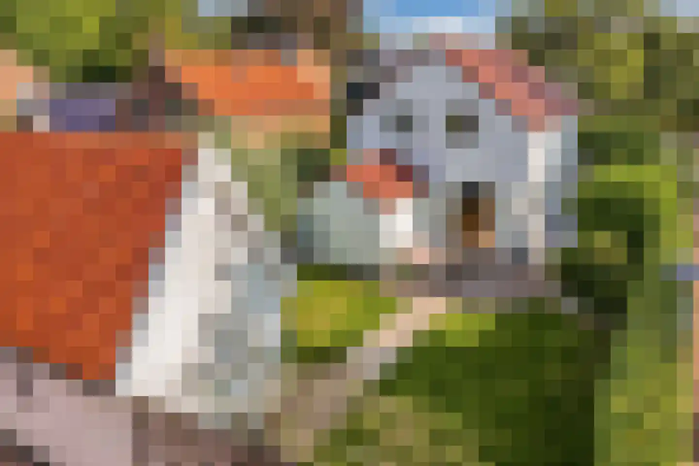 Kerkstraat 4 Joure thumbnail 58