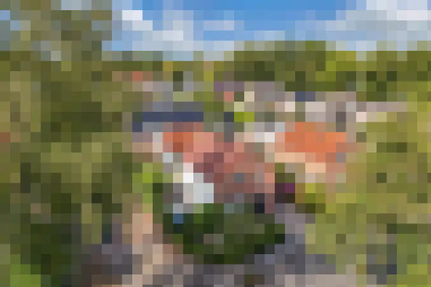 Kerkstraat 4 Joure thumbnail 6