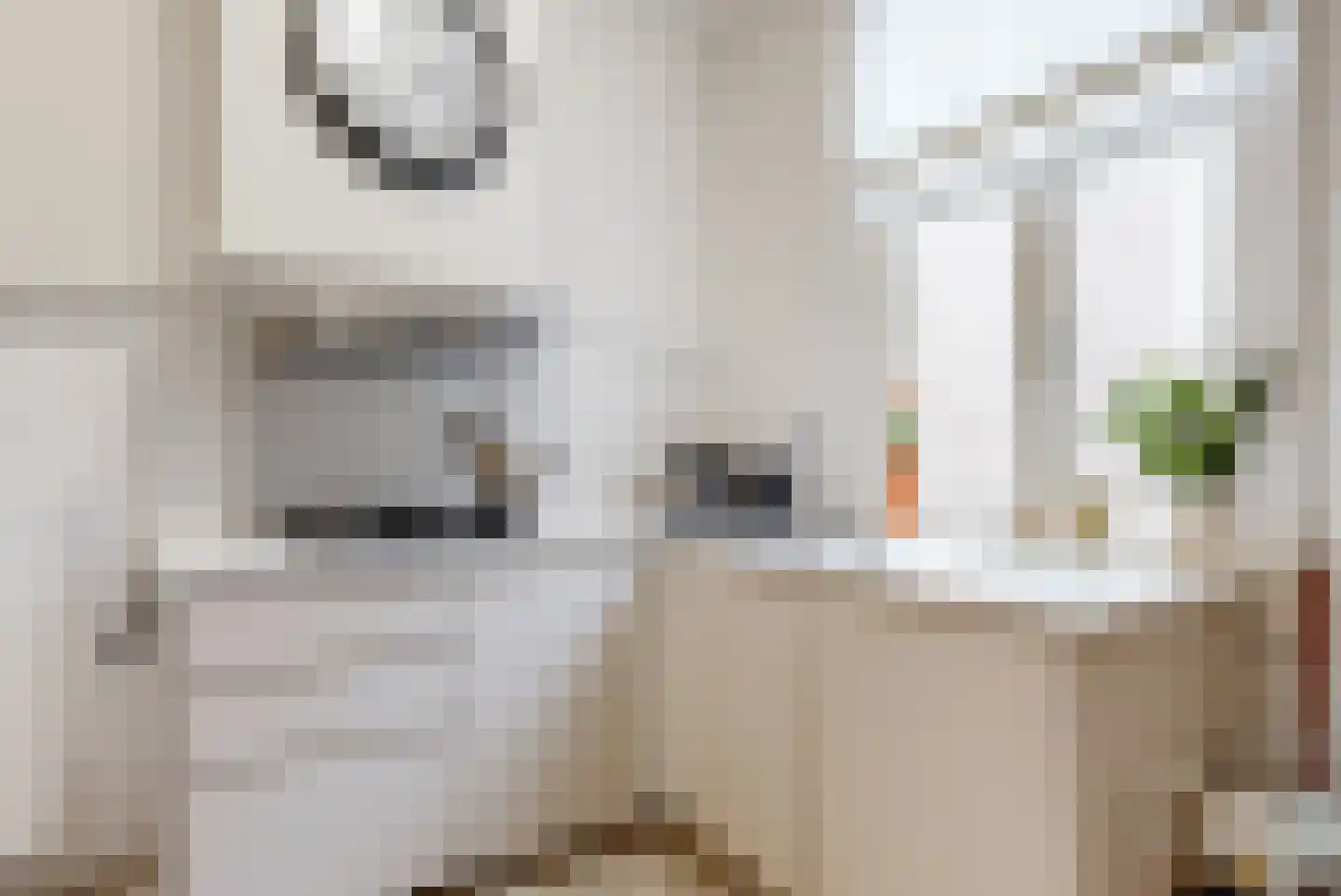 Kerkstraat 4 Renkum thumbnail 12
