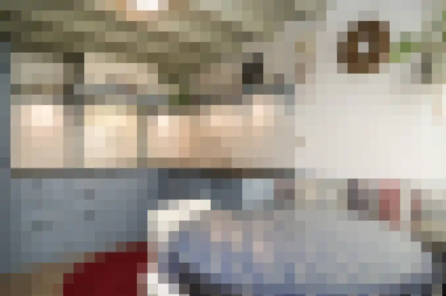 Kerkstraat 4 Rossum thumbnail 10