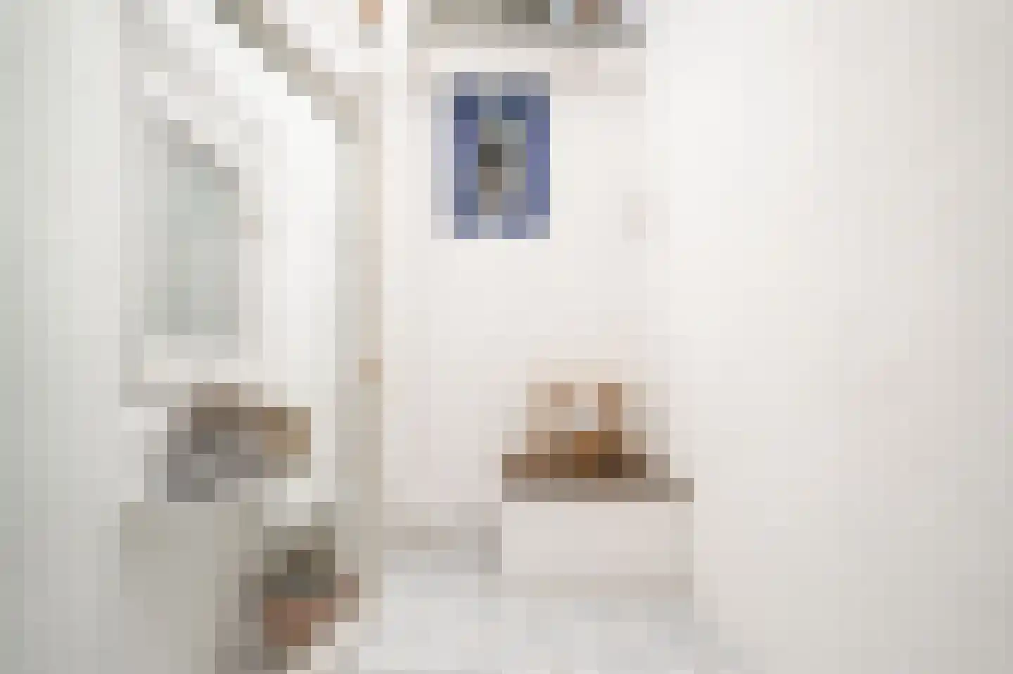 Kerkstraat 4 Rossum thumbnail 12