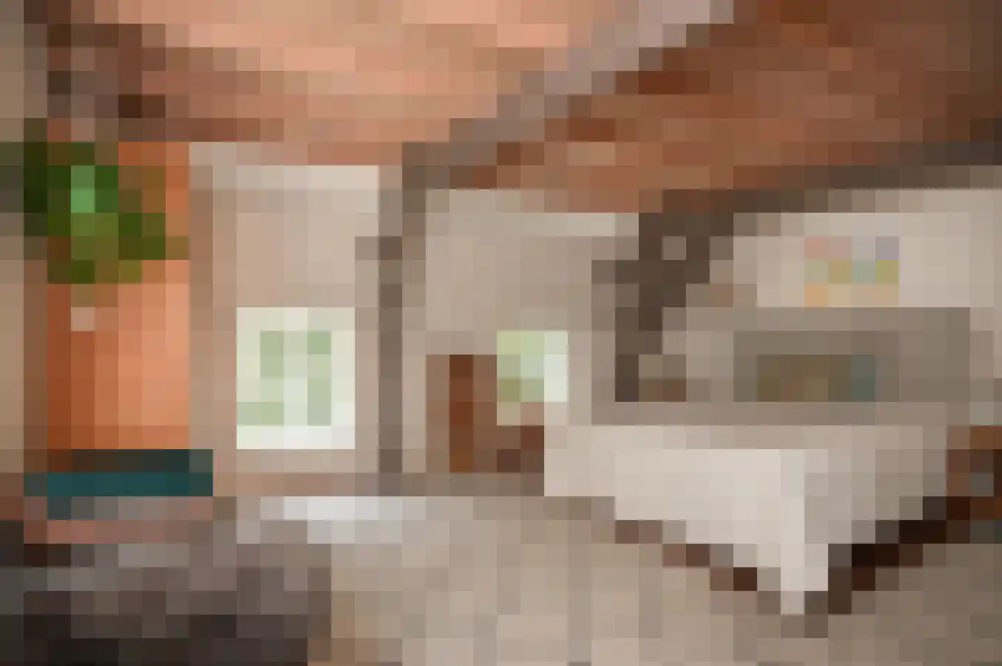 Kerkstraat 4 Rossum thumbnail 15