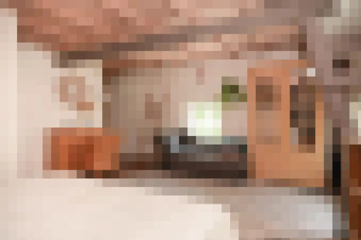 Kerkstraat 4 Rossum thumbnail 16