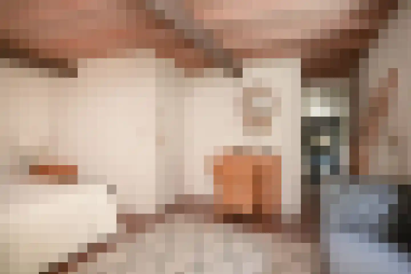 Kerkstraat 4 Rossum thumbnail 17