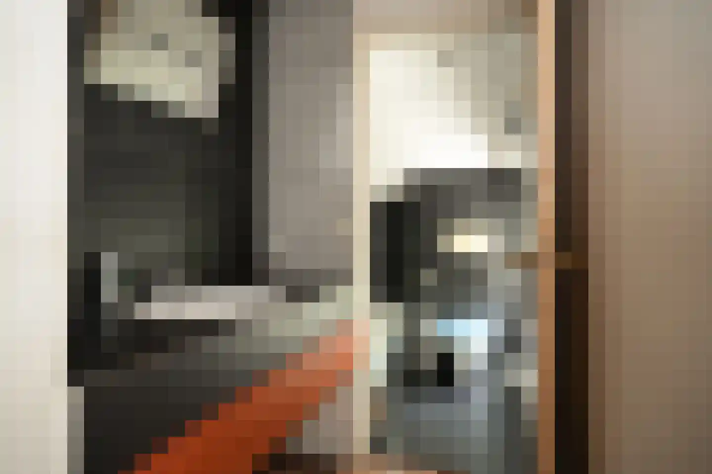 Kerkstraat 4 Rossum thumbnail 18