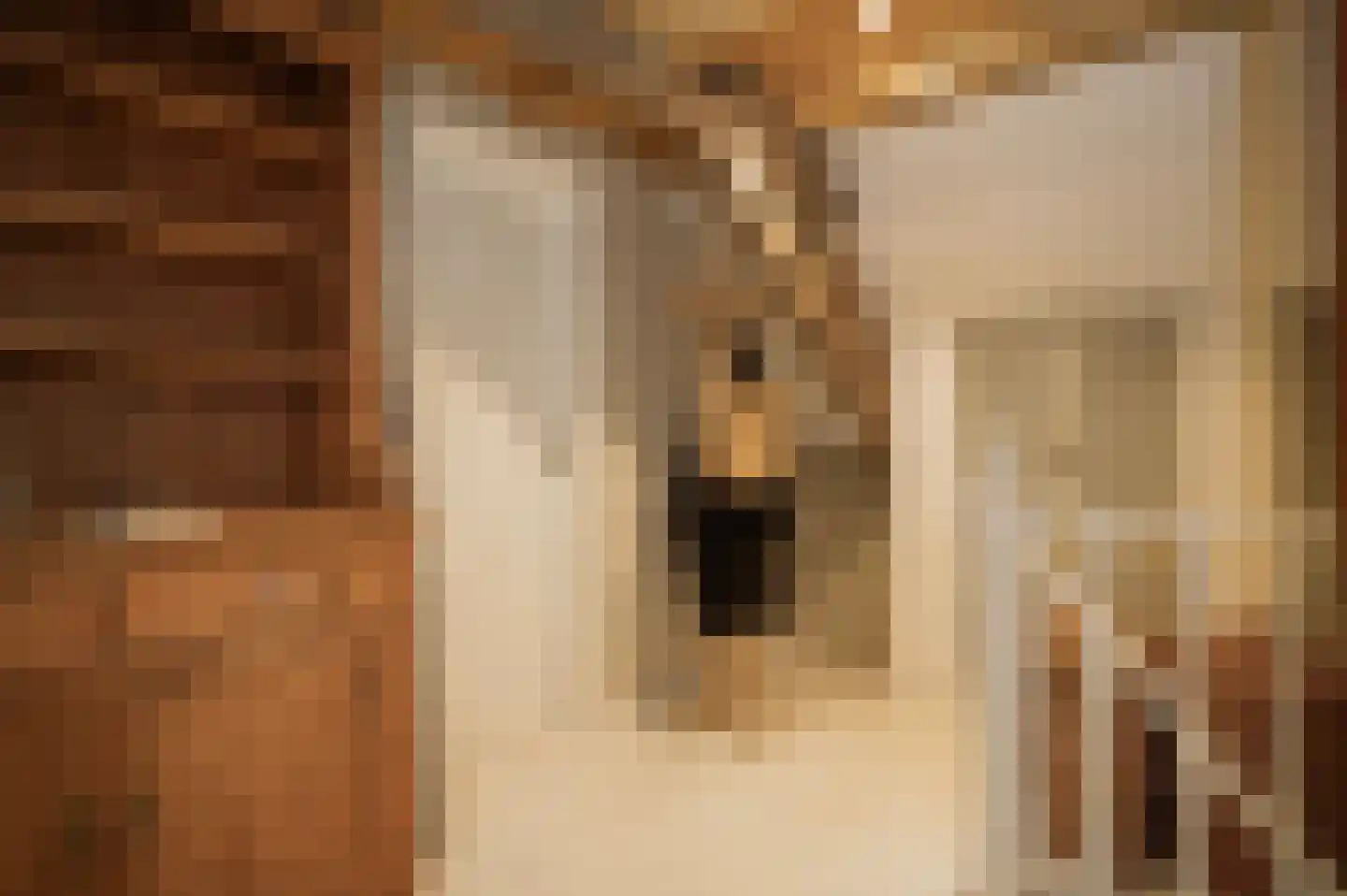 Kerkstraat 4 Rossum thumbnail 20