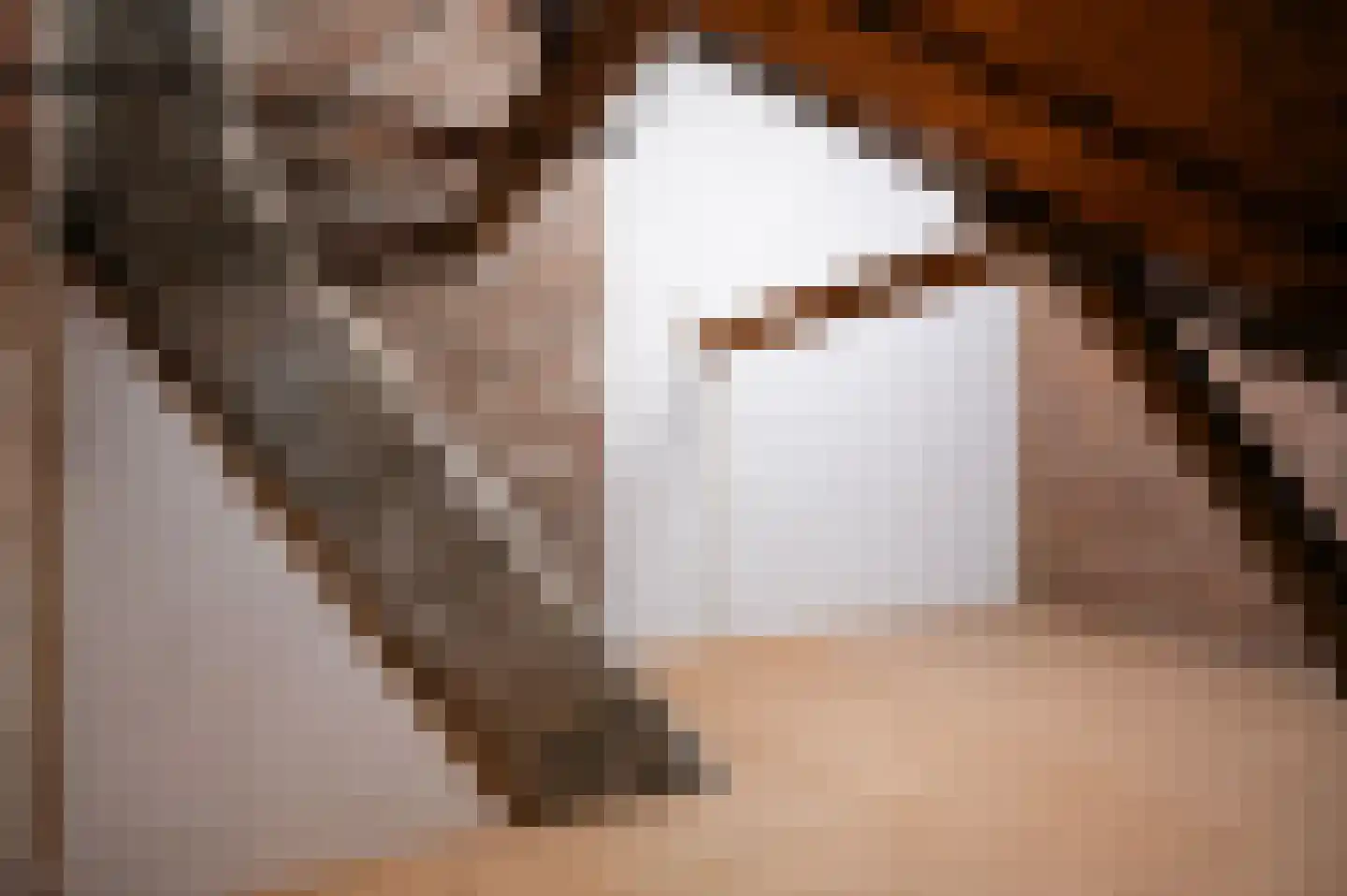 Kerkstraat 4 Rossum thumbnail 21