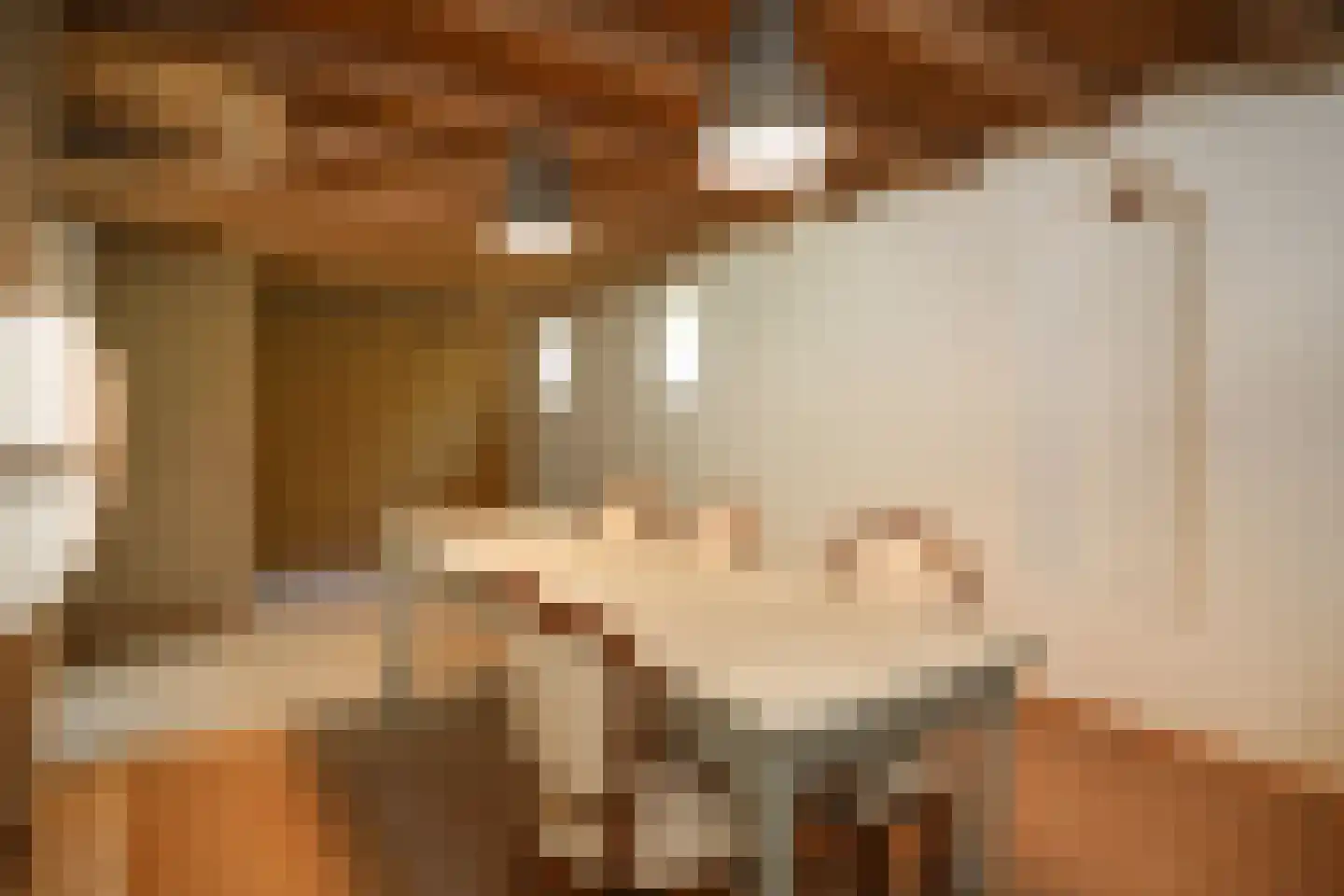 Kerkstraat 4 Rossum thumbnail 29