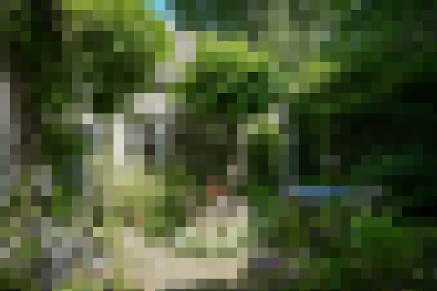 Kerkstraat 4 Rossum thumbnail 35