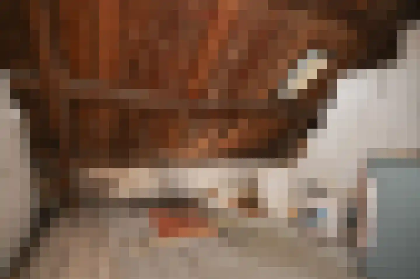 Kerkstraat 4 Rossum thumbnail 36
