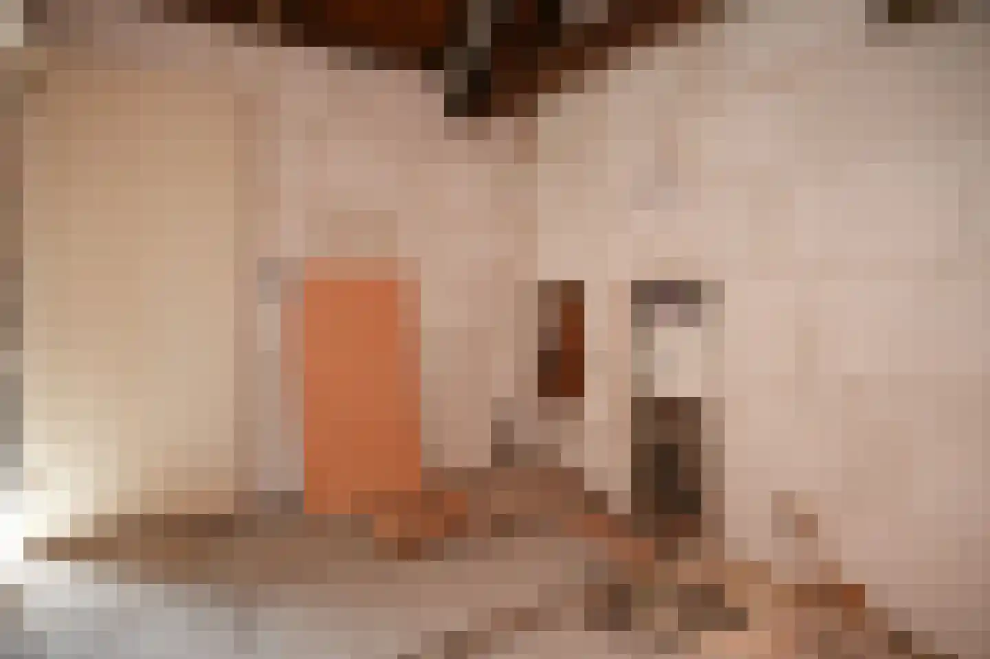 Kerkstraat 4 Rossum thumbnail 37
