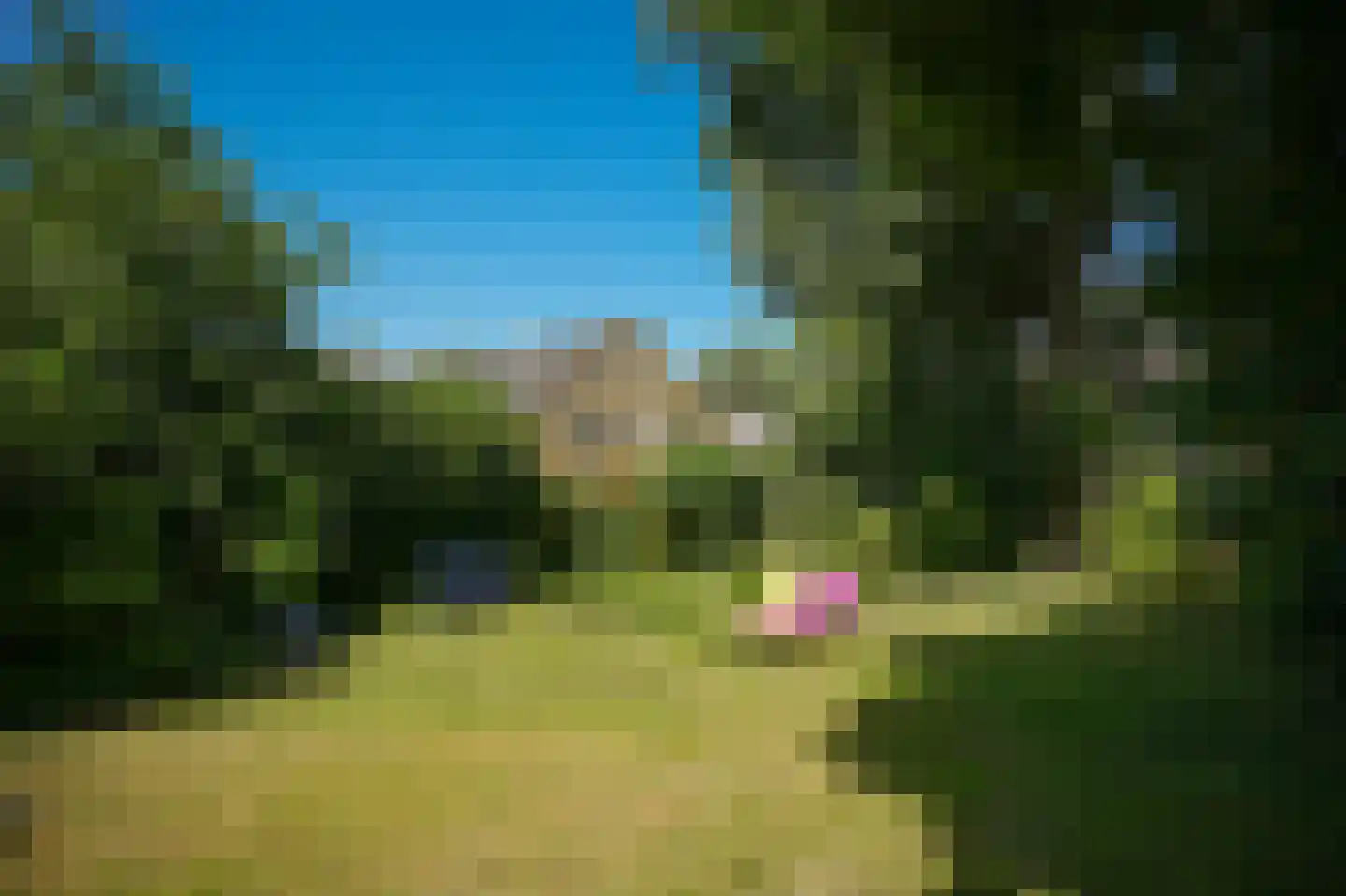 Kerkstraat 4 Rossum thumbnail 39