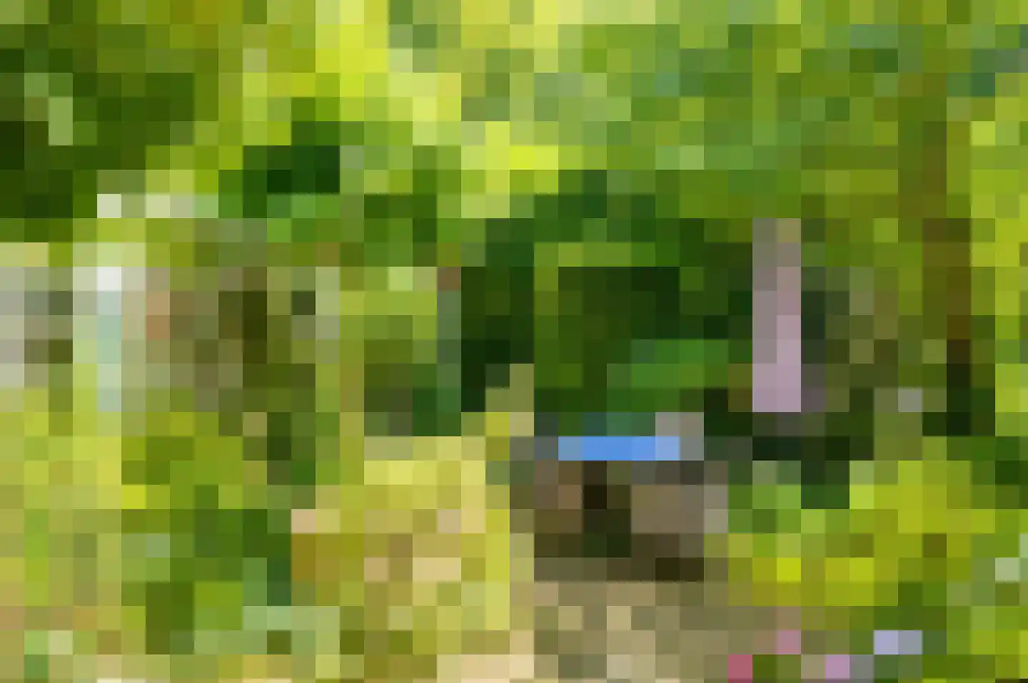 Kerkstraat 4 Rossum thumbnail 42