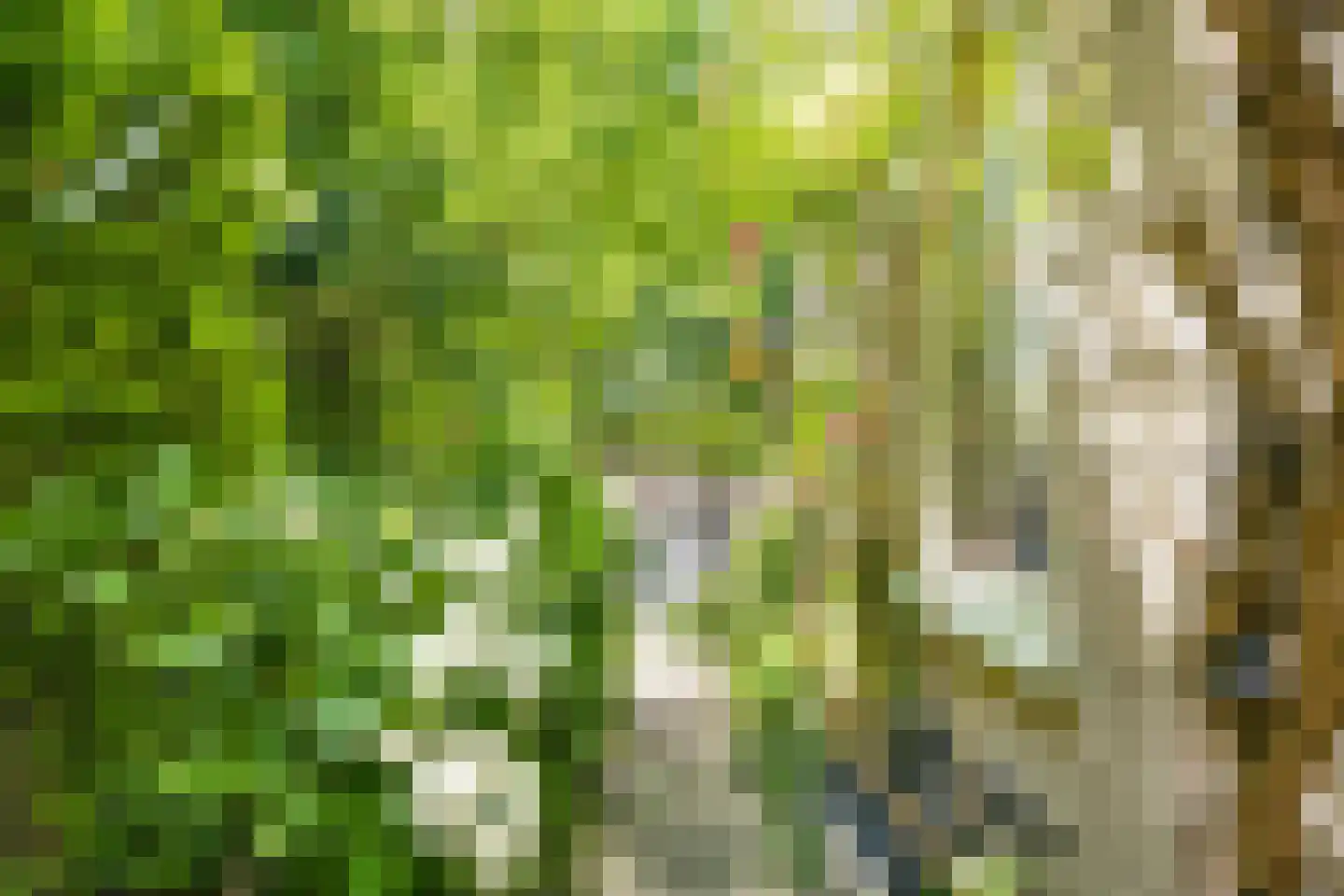 Kerkstraat 4 Rossum thumbnail 43