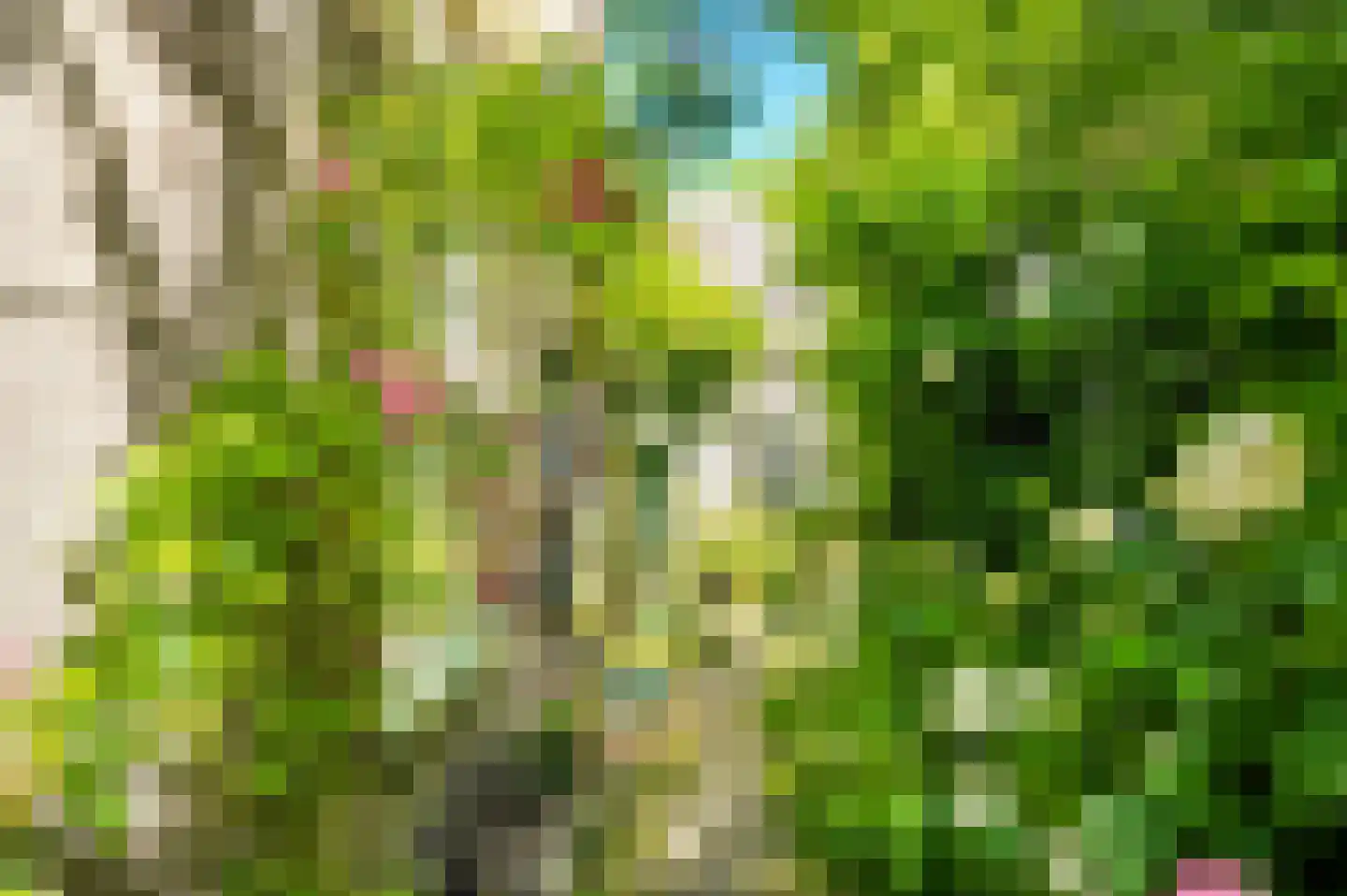 Kerkstraat 4 Rossum thumbnail 44