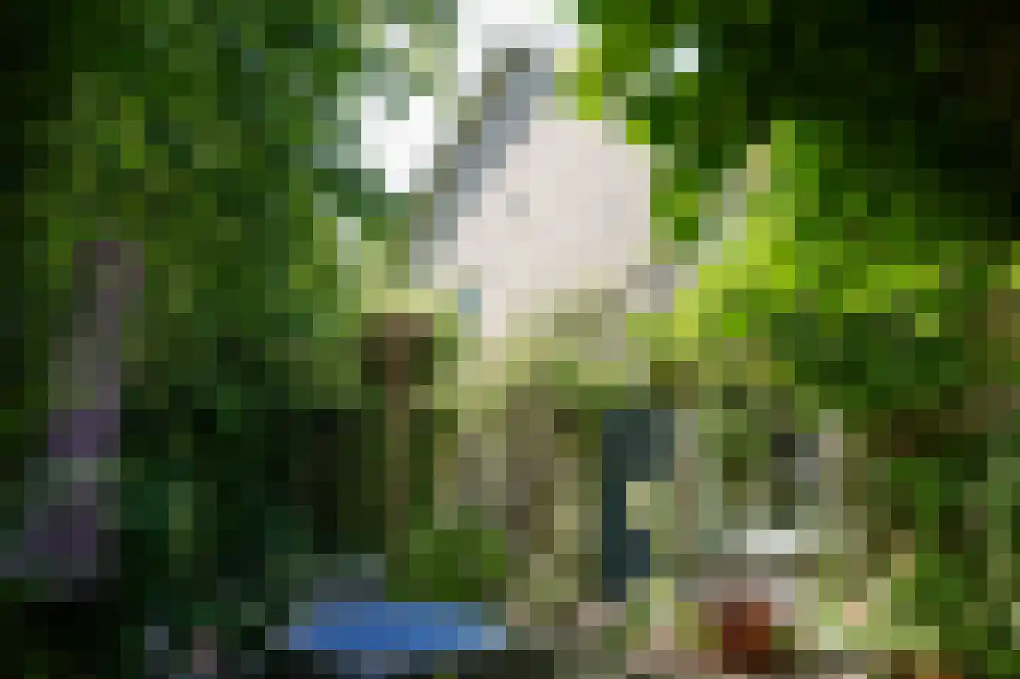 Kerkstraat 4 Rossum thumbnail 44