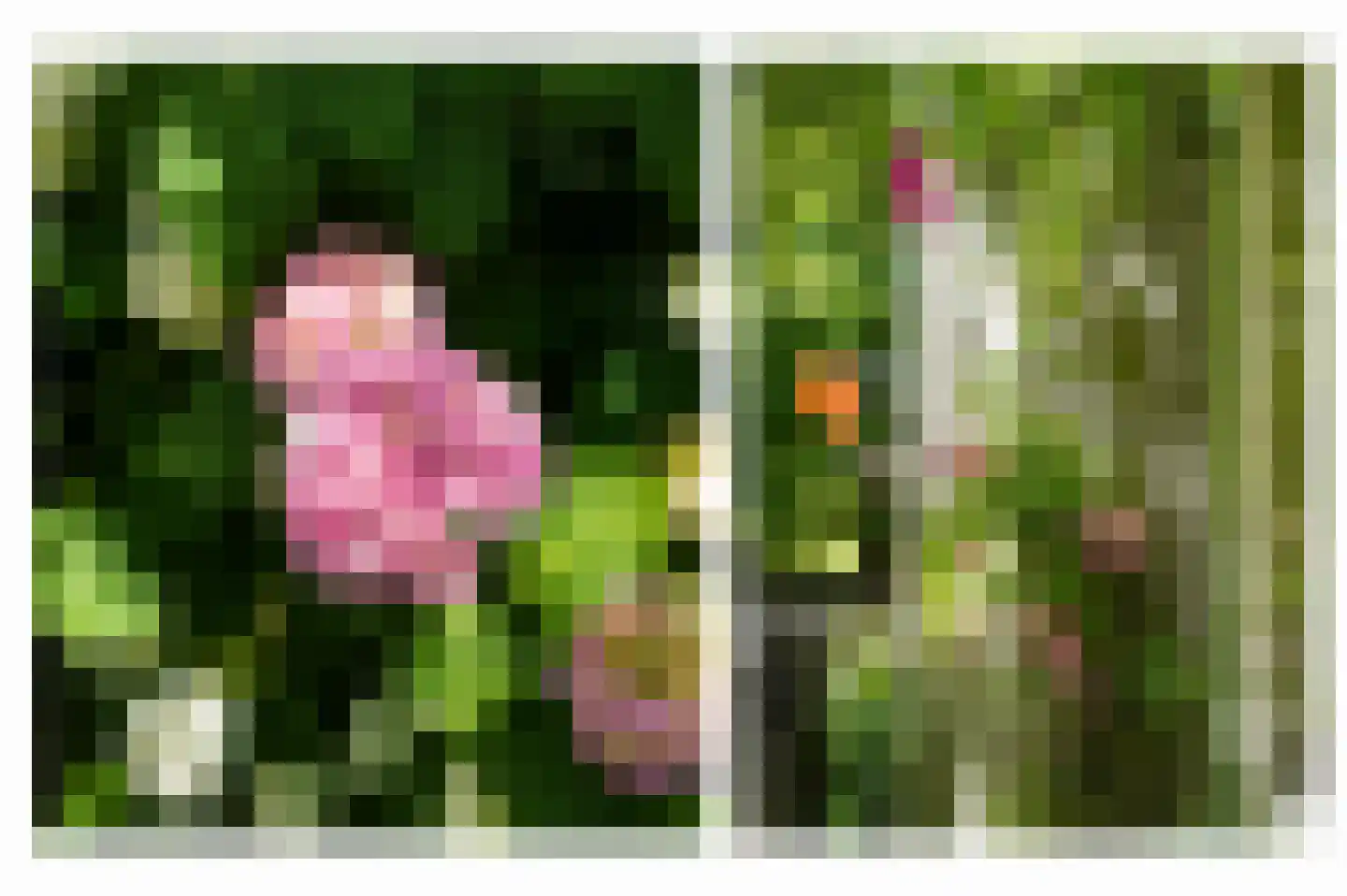 Kerkstraat 4 Rossum thumbnail 45