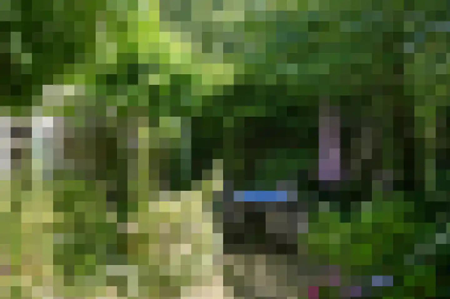 Kerkstraat 4 Rossum thumbnail 49