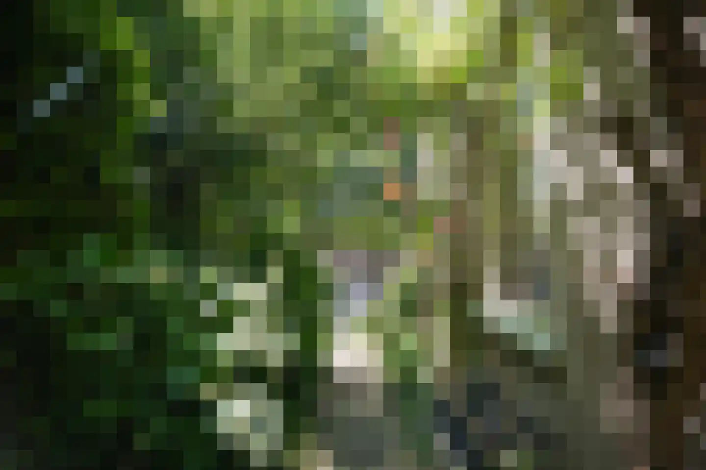 Kerkstraat 4 Rossum thumbnail 50