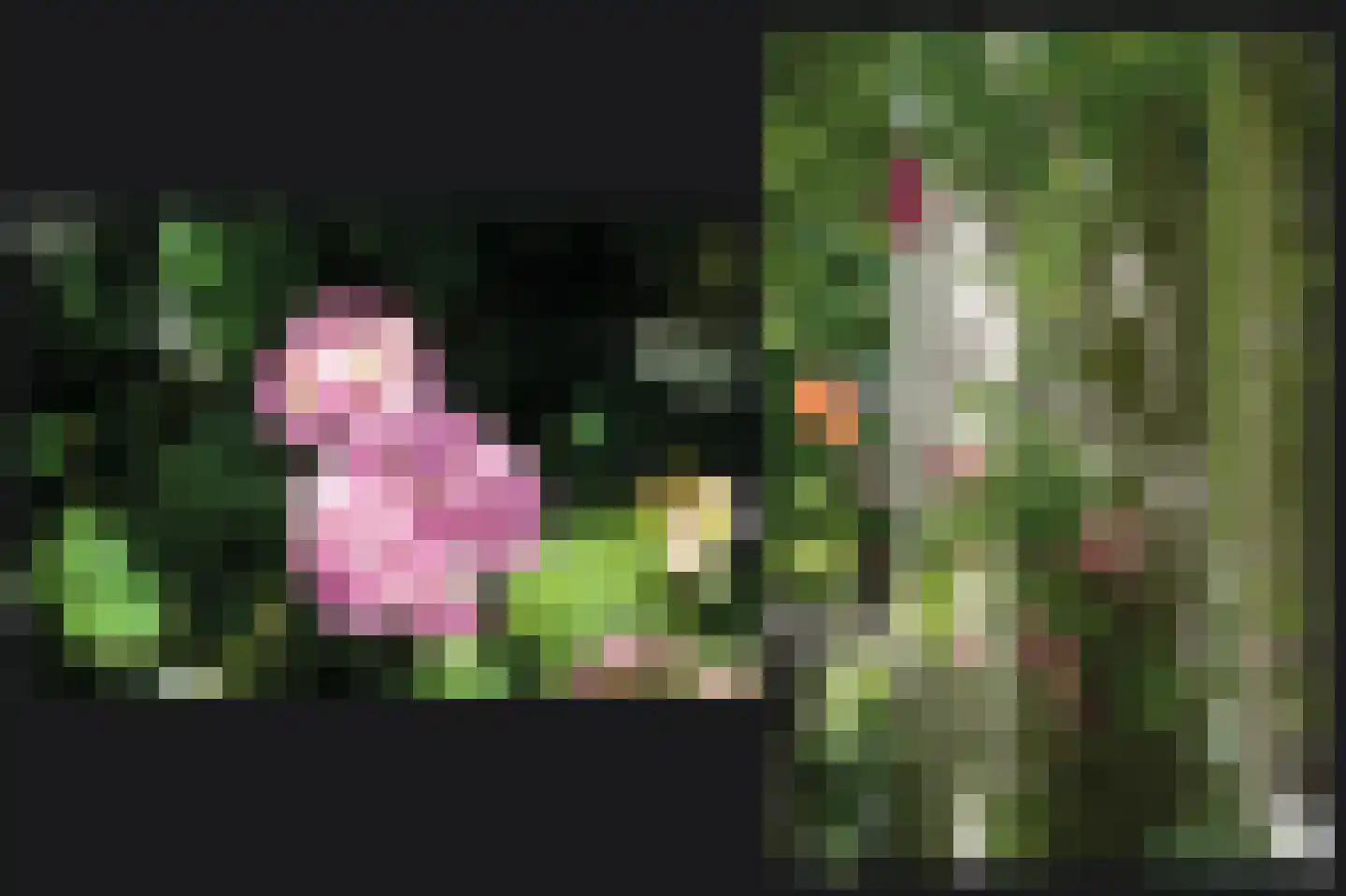 Kerkstraat 4 Rossum thumbnail 51