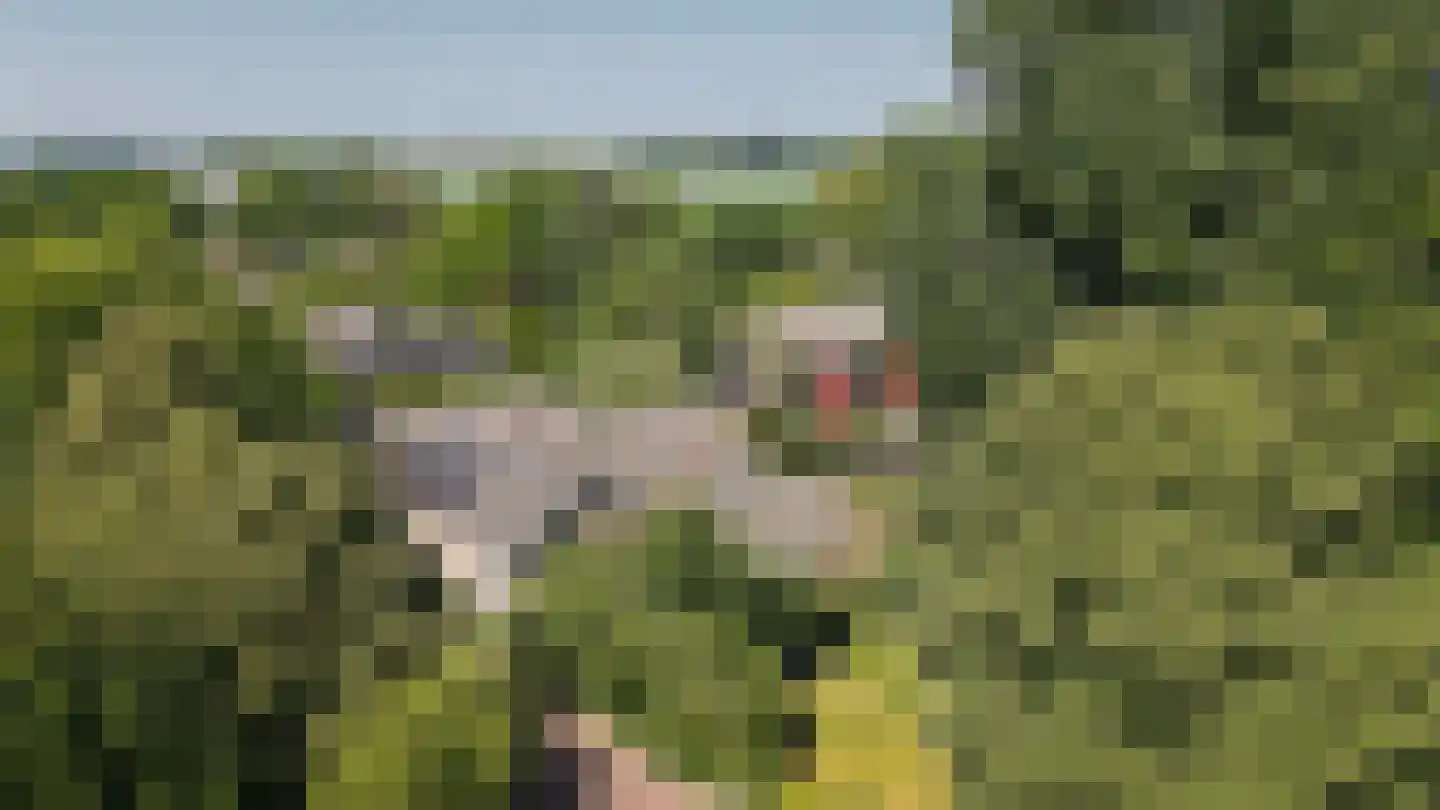 Kerkstraat 4 Rossum thumbnail 52
