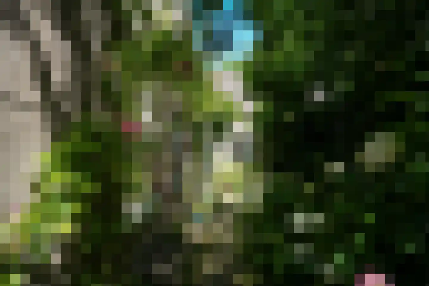 Kerkstraat 4 Rossum thumbnail 52