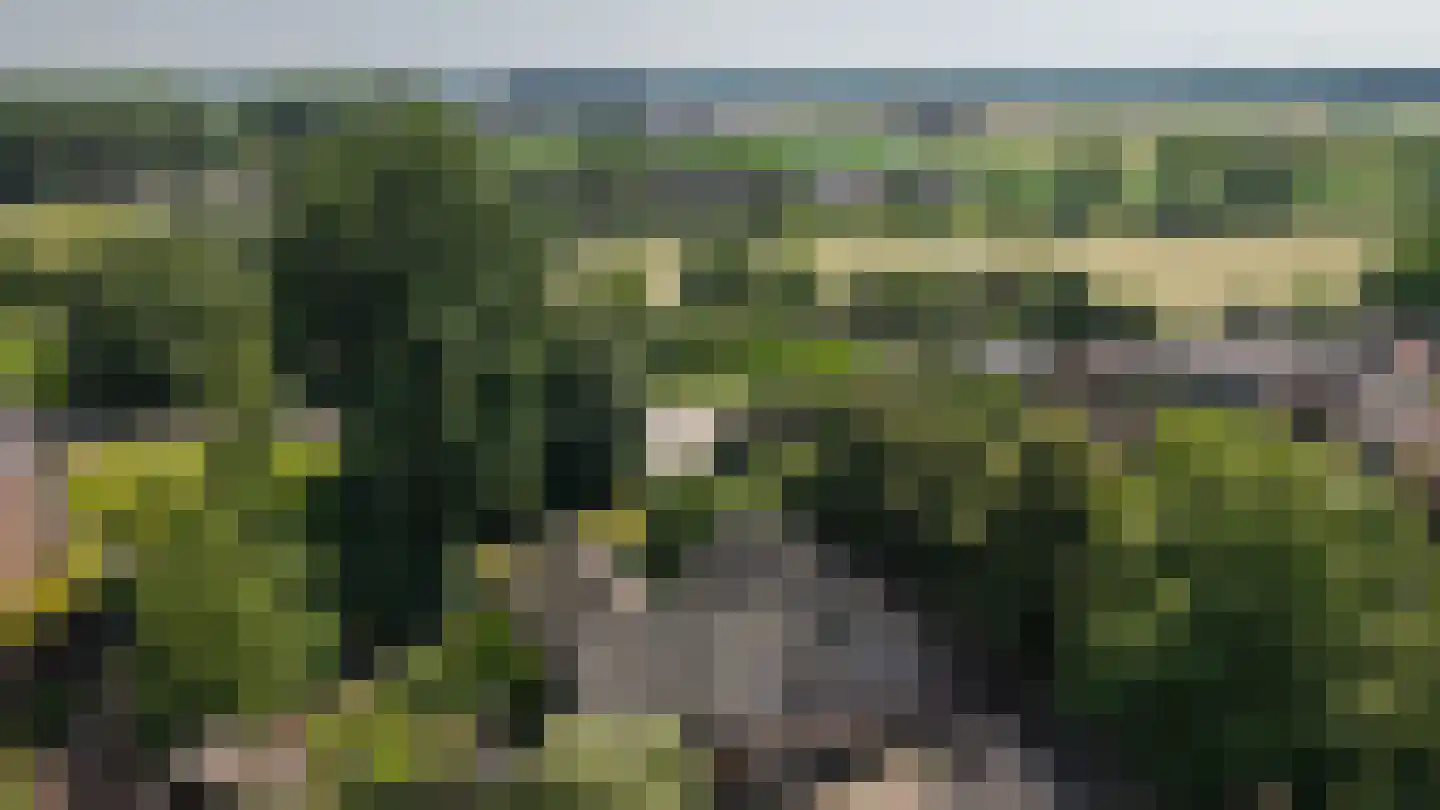 Kerkstraat 4 Rossum thumbnail 53
