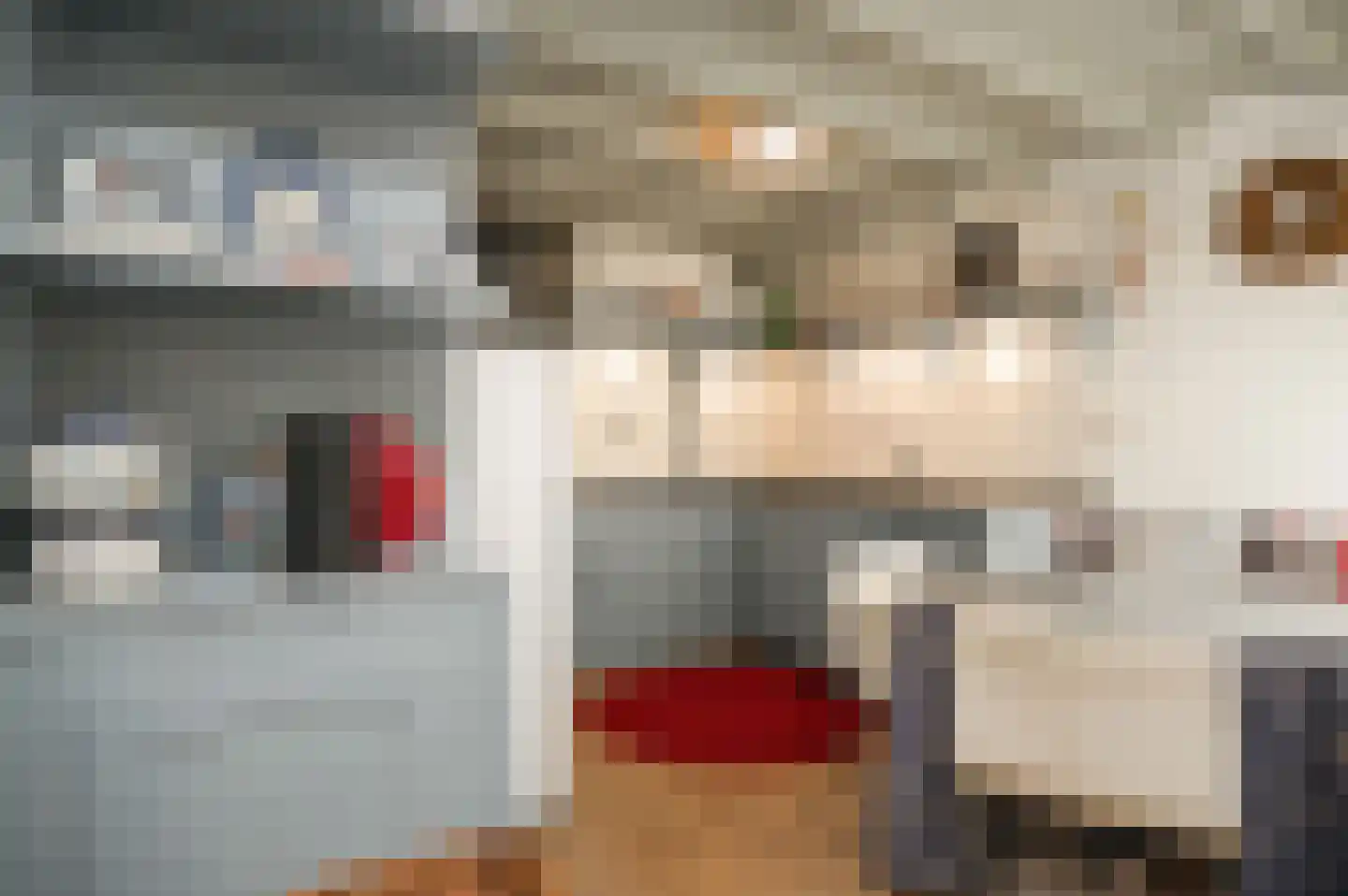 Kerkstraat 4 Rossum thumbnail 9