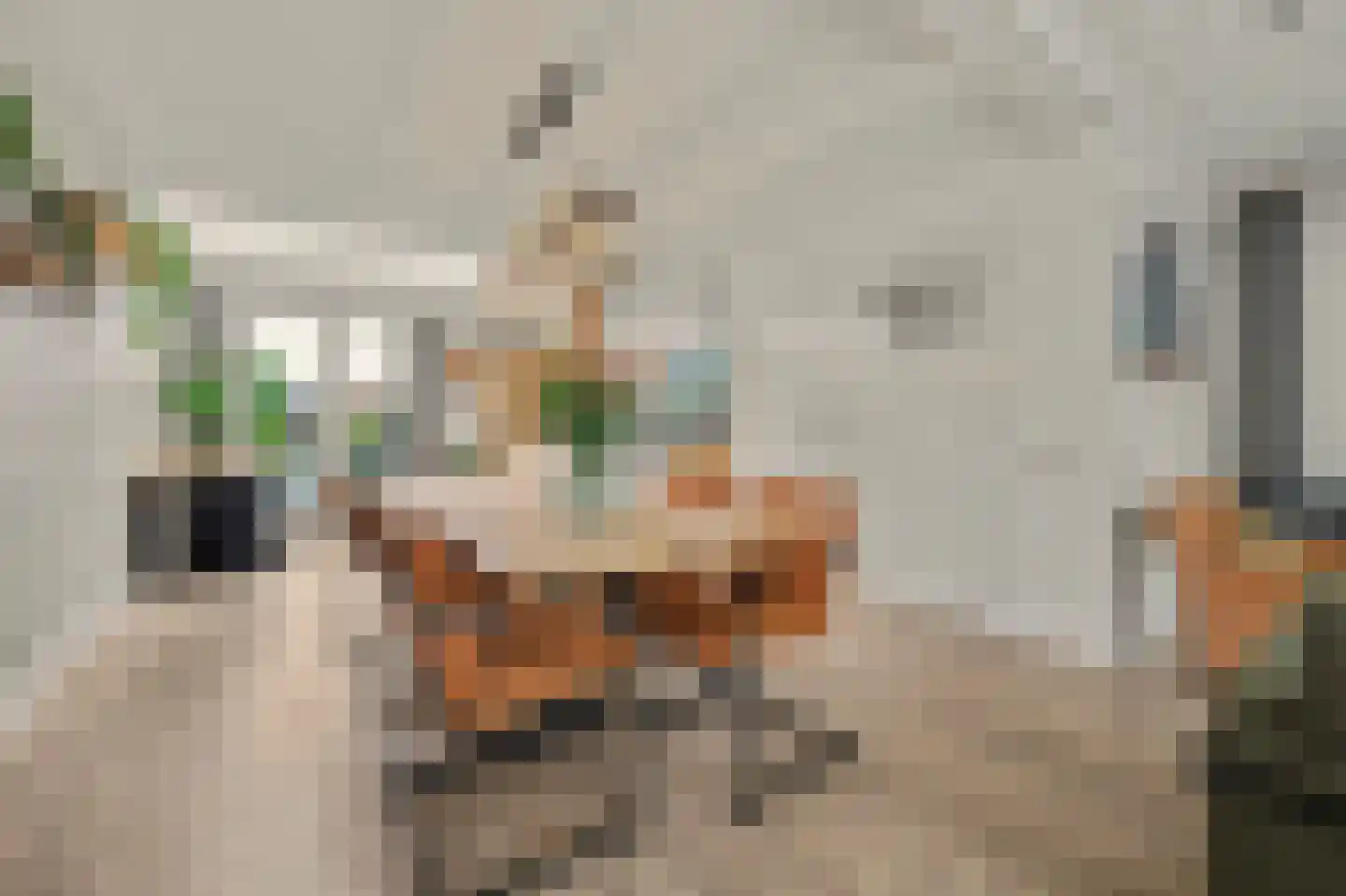 Kerkstraat 40 A Elshout thumbnail 12