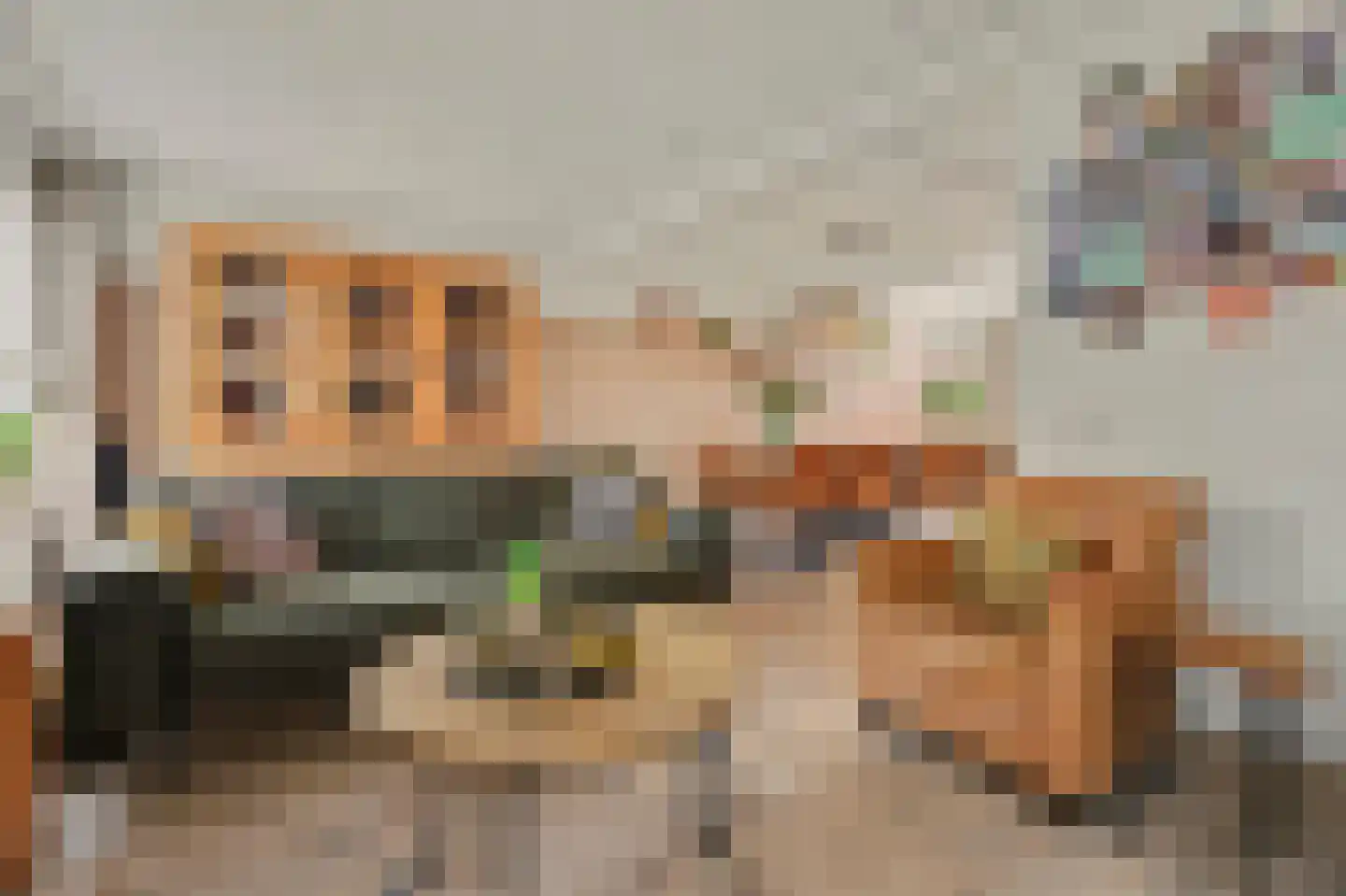 Kerkstraat 40 A Elshout thumbnail 13
