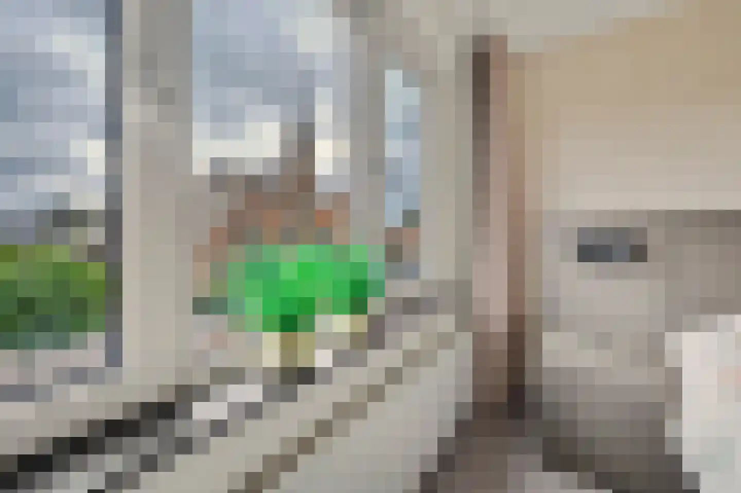 Kerkstraat 40 A Elshout thumbnail 22
