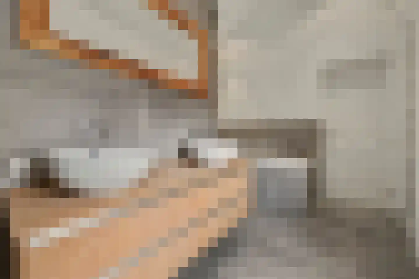 Kerkstraat 40 A Elshout thumbnail 24