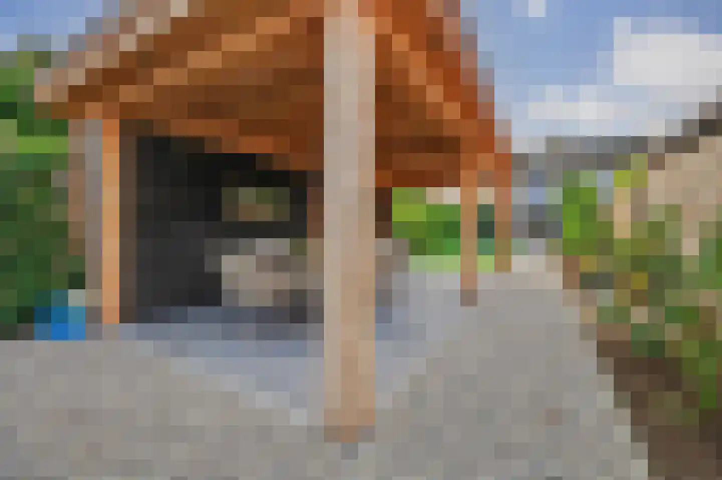Kerkstraat 40 A Elshout thumbnail 40