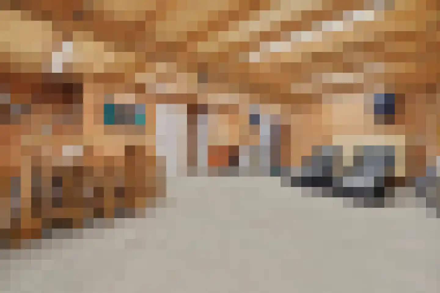 Kerkstraat 40 A Elshout thumbnail 48
