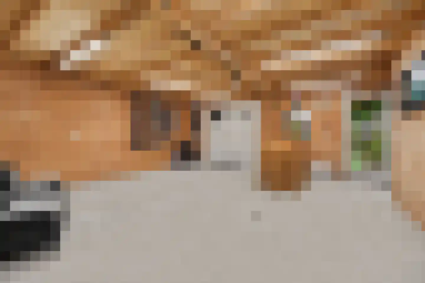 Kerkstraat 40 A Elshout thumbnail 49