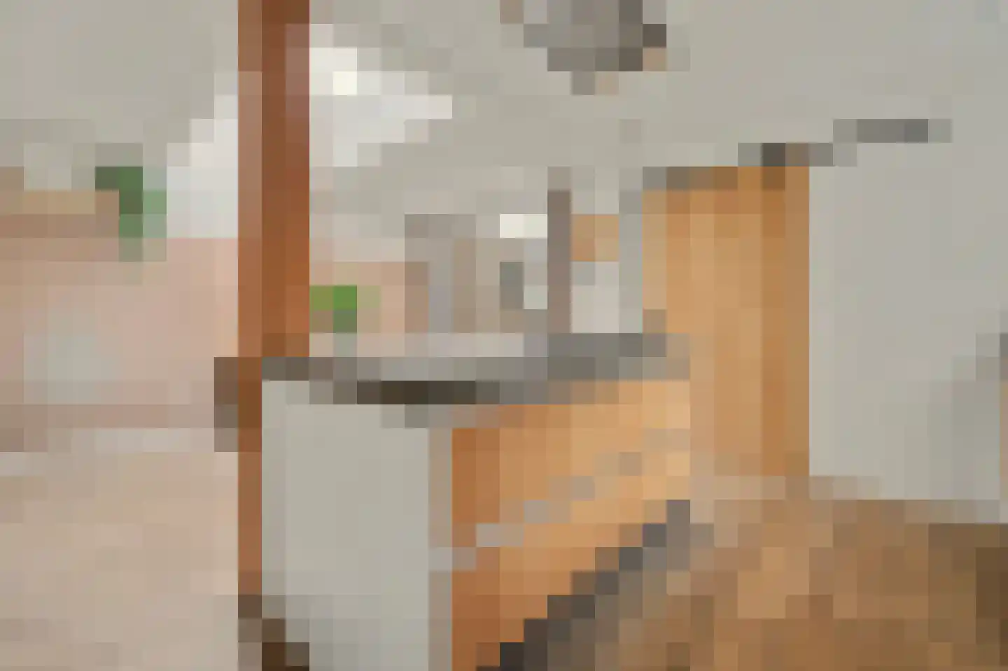 Kerkstraat 40 A Elshout thumbnail 7