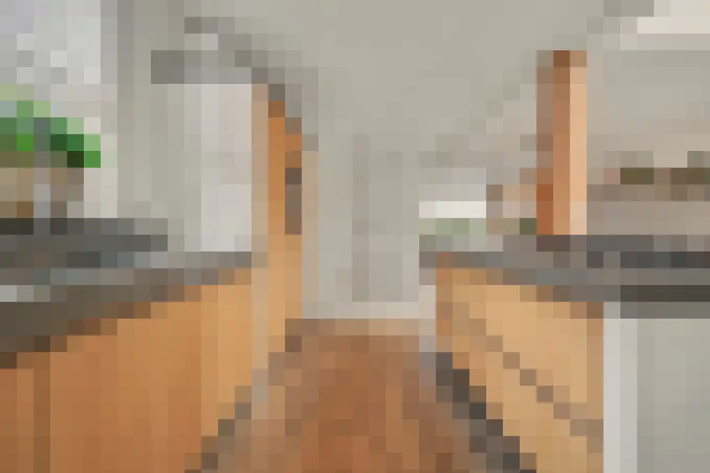 Kerkstraat 40 A Elshout thumbnail 9