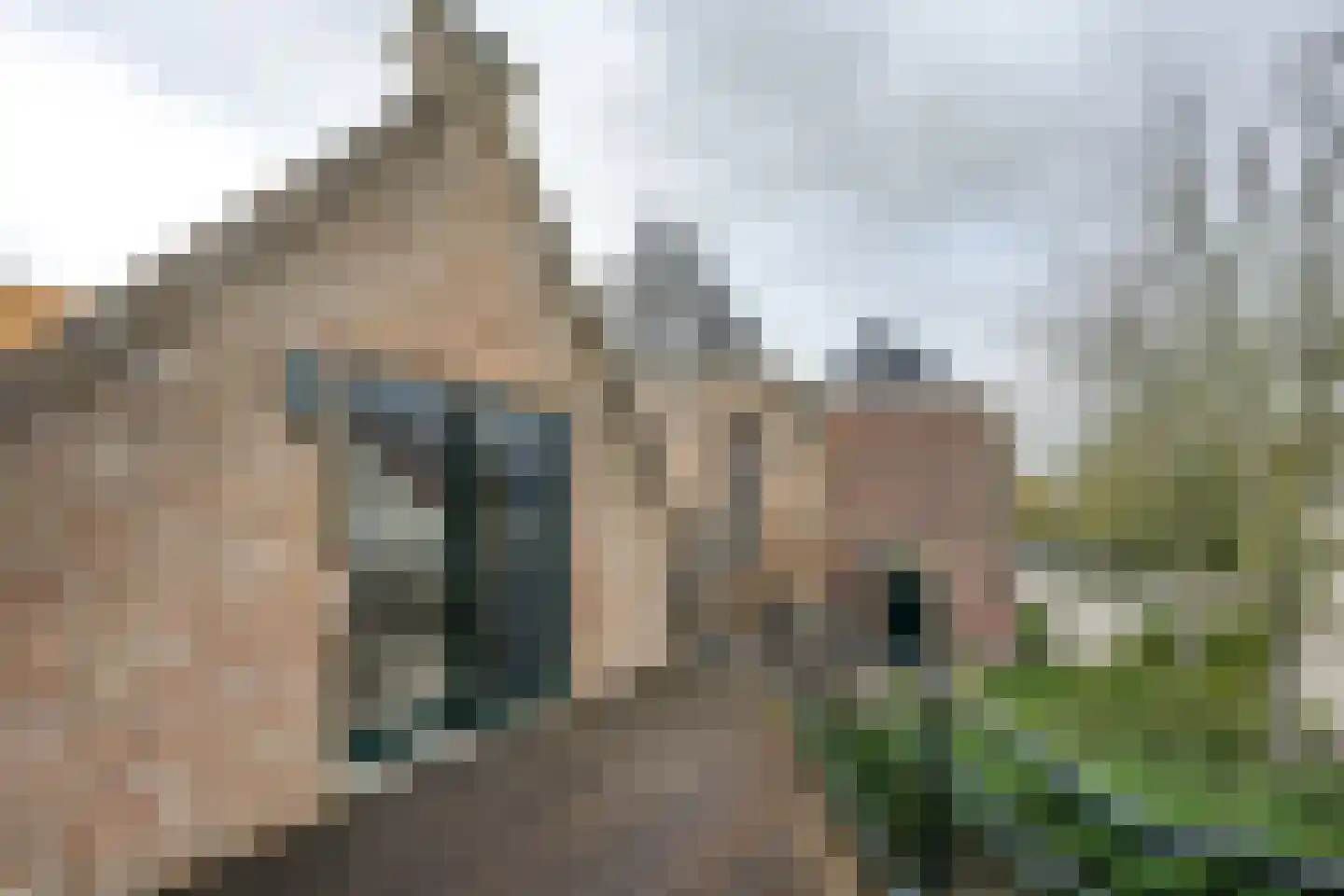Kerkstraat 40 a Strijen thumbnail 18