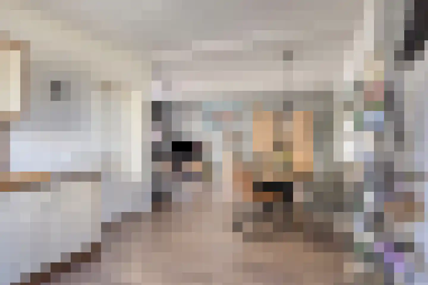 Kerkstraat 40 Asten thumbnail 12