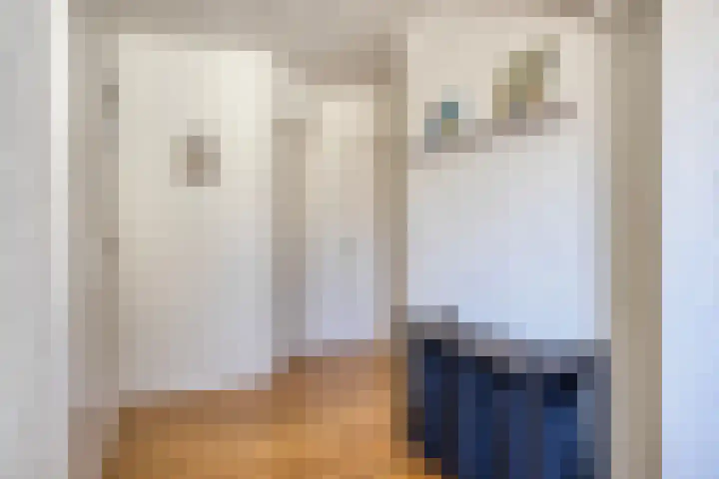 Kerkstraat 40 Asten thumbnail 21