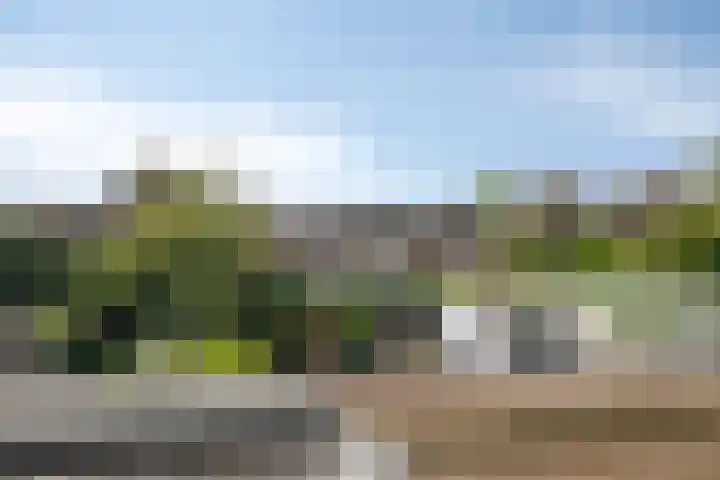 Kerkstraat 40 b Driel thumbnail 32