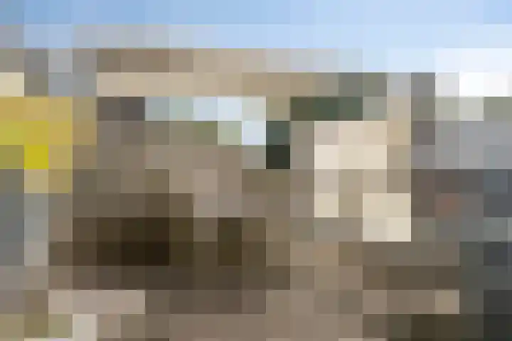 Kerkstraat 40 b Driel thumbnail 33