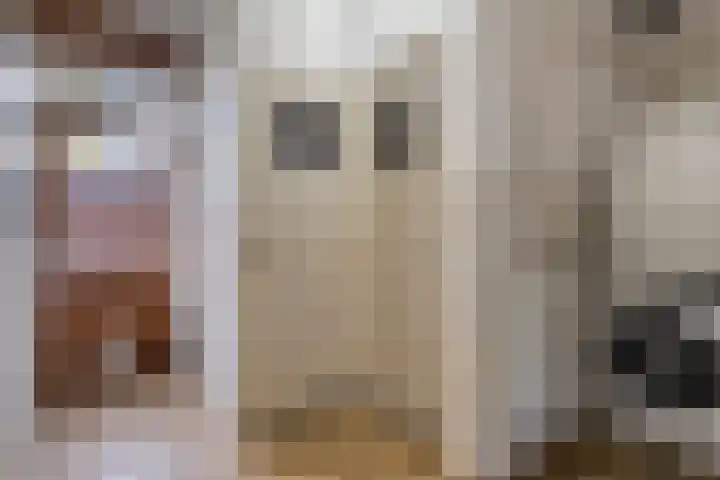 Kerkstraat 40 Broekhuizenvorst thumbnail 25