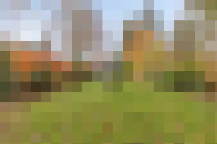 Kerkstraat 40 Broekhuizenvorst thumbnail 5