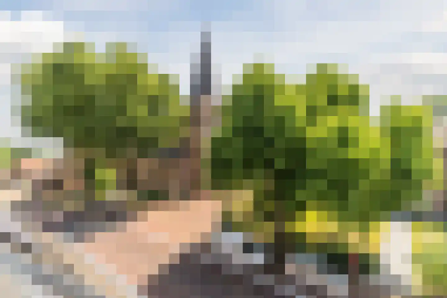 Kerkstraat 40 c Eersel thumbnail 17