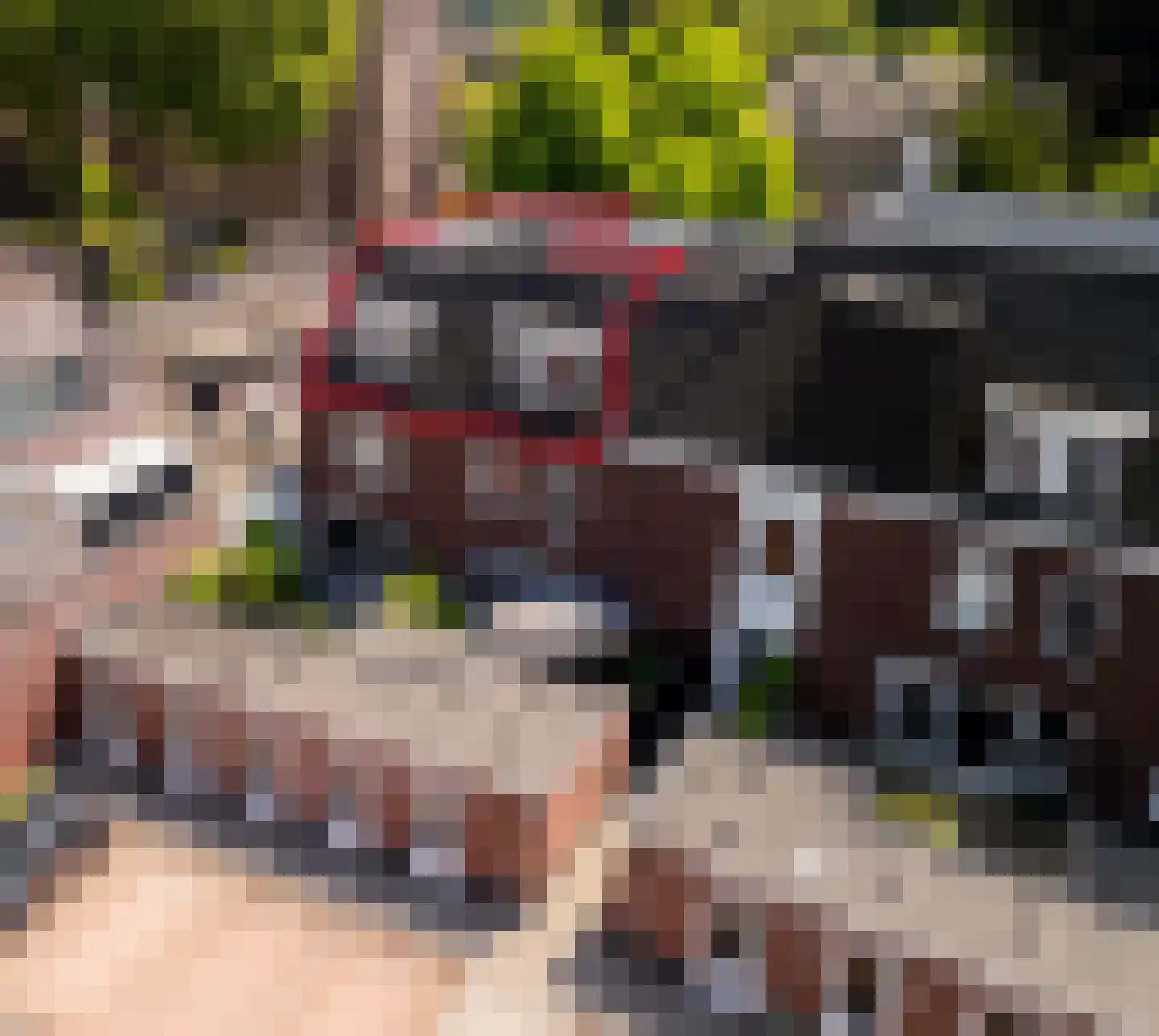 Kerkstraat 40 c Eersel thumbnail 34